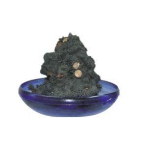 Piedra de Imán Vivo